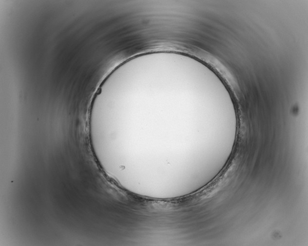 X0000103261097200809191713