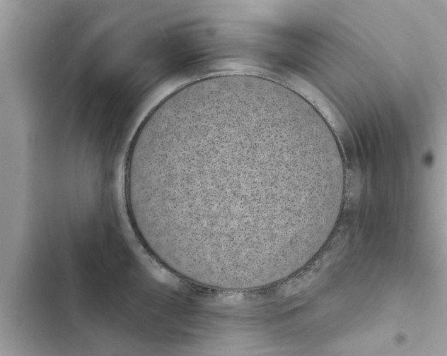 X0000103261098200809191713