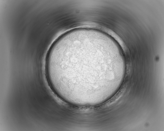 X0000103261099200809191713