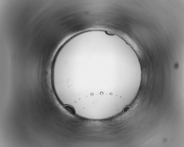 X0000103261100200809191713