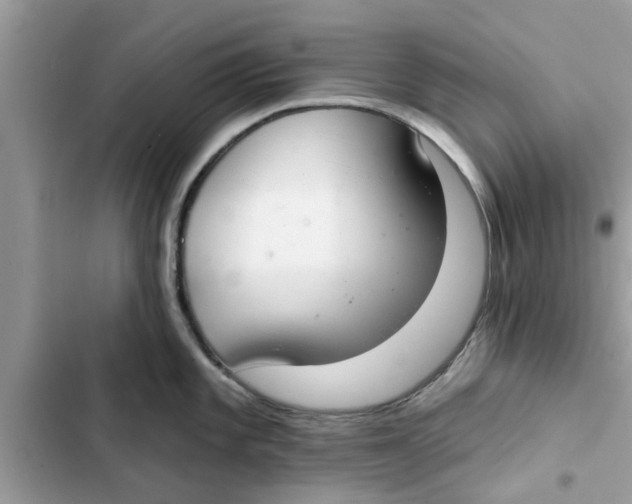 X0000103261101200809191713