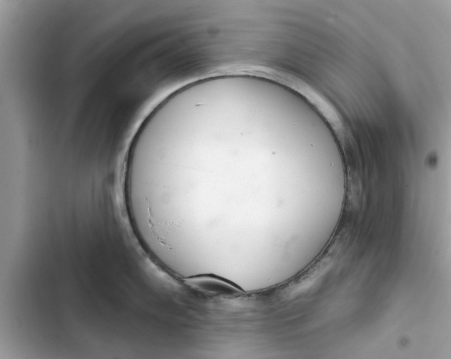 X0000103261102200809191713