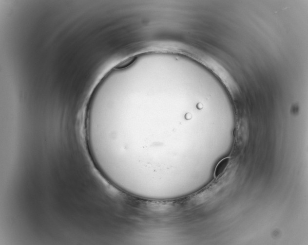 X0000103261103200809191713