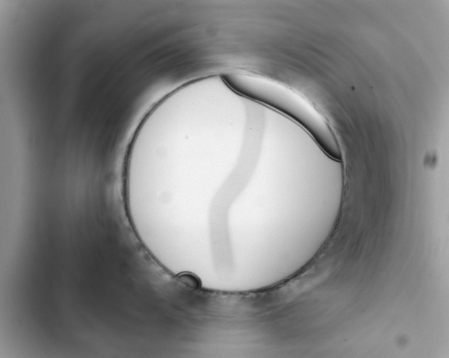 X0000103261104200809191713