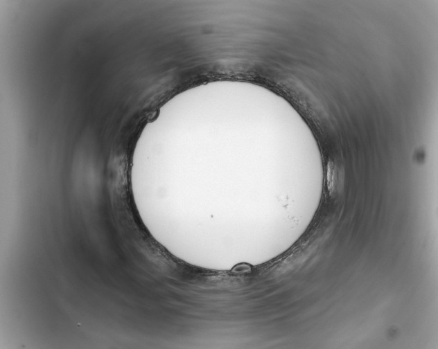 X0000103261107200809191712