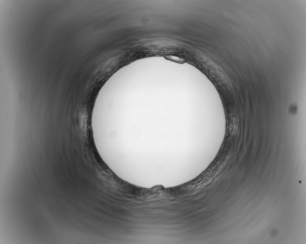 X0000103261108200809191712