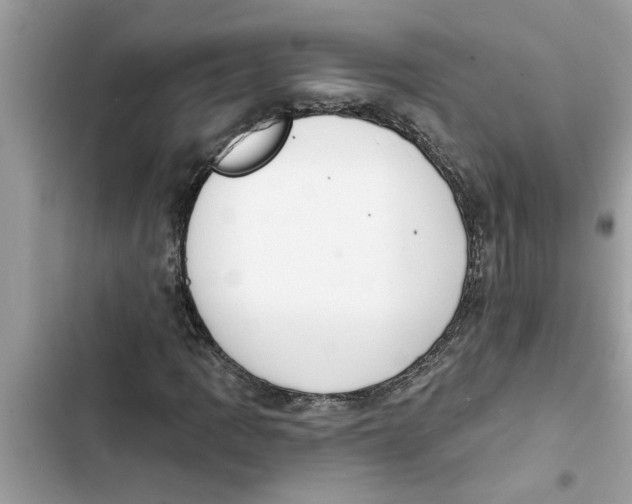 X0000103261109200809191712