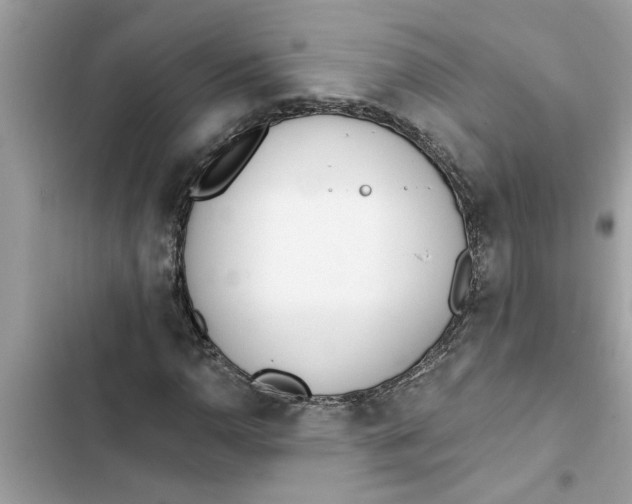 X0000103261110200809191712