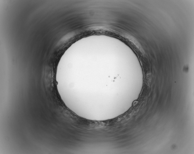 X0000103261111200809191712