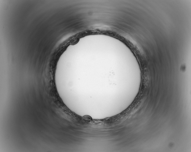 X0000103261112200809191712