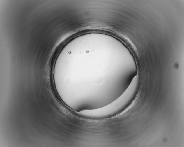 X0000103261114200809191712