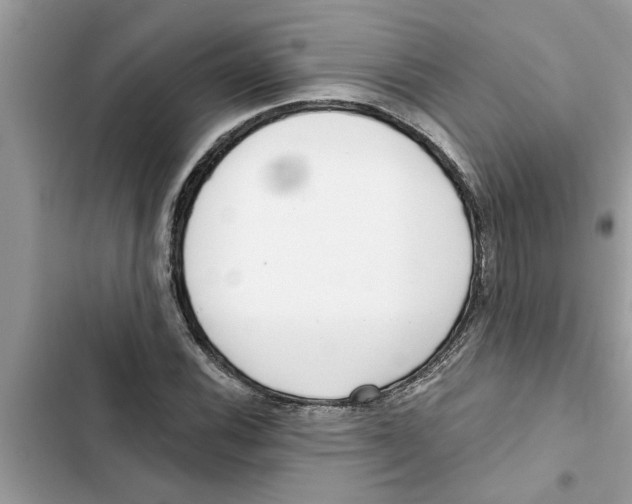 X0000103261116200809191712