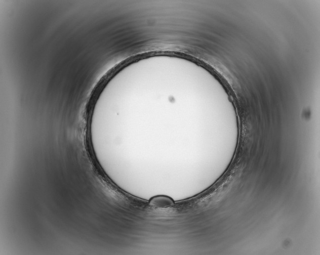 X0000103261119200809191712