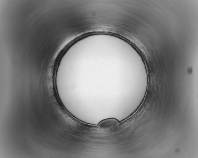 X0000103261120200809191712