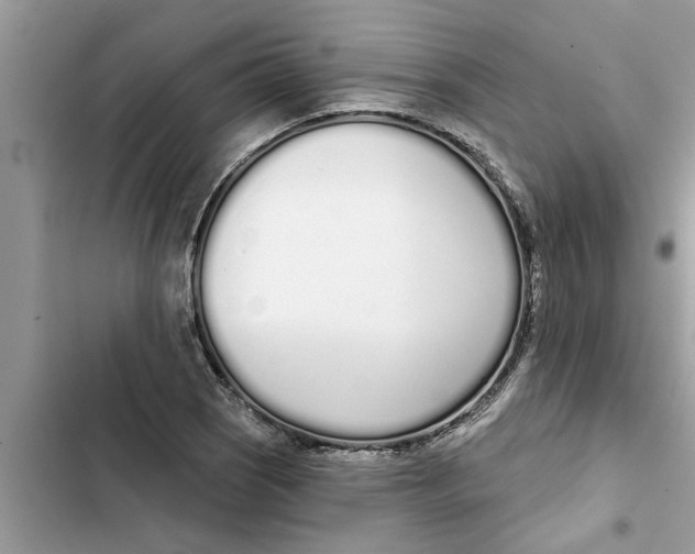 X0000103261121200809191712