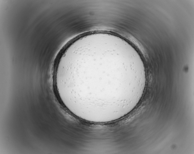 X0000103261124200809191712