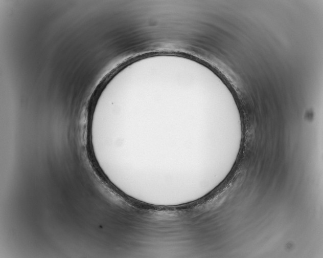 X0000103261126200809191712