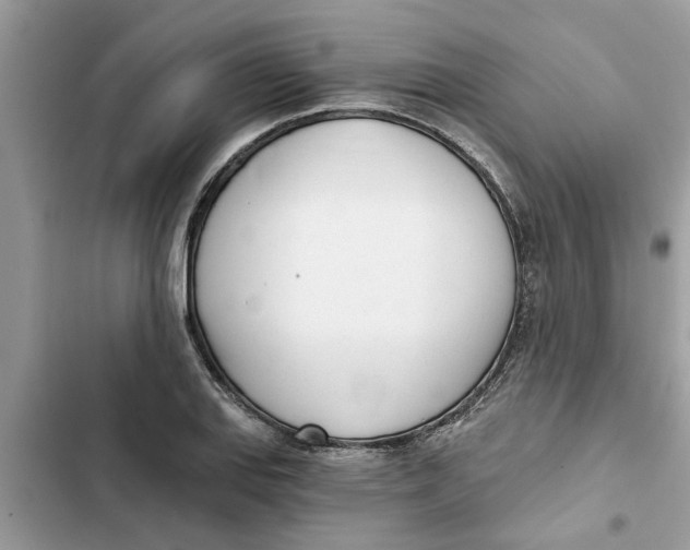 X0000103261127200809191712