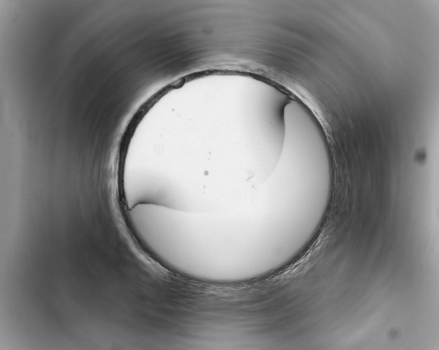 X0000103261128200809191712