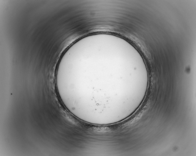 X0000103261129200809191712