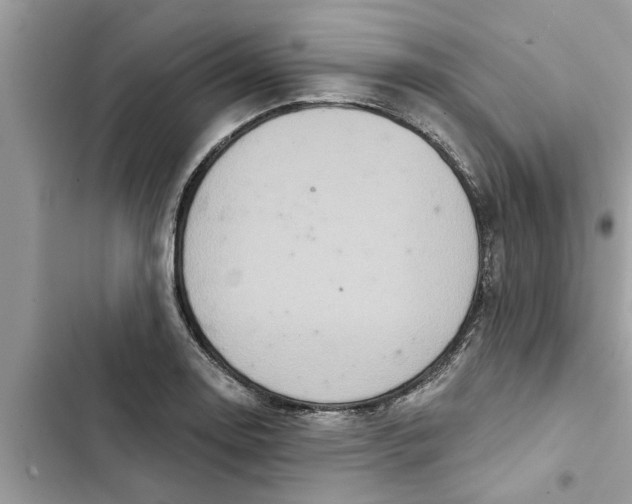 X0000103261130200809191712