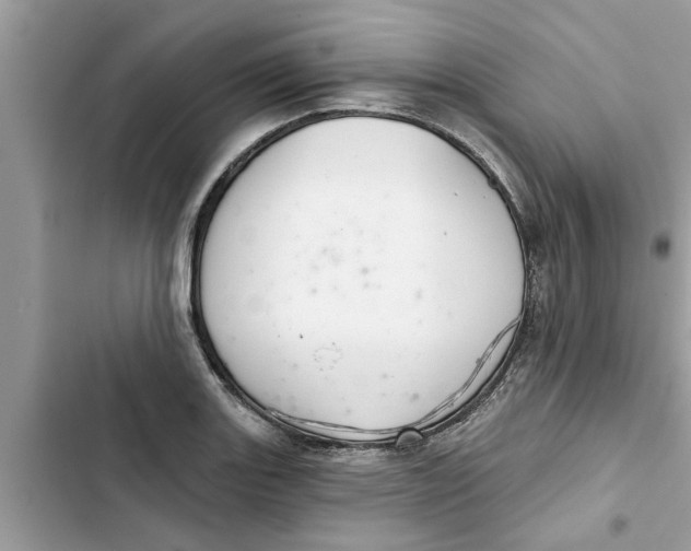 X0000103261131200809191712