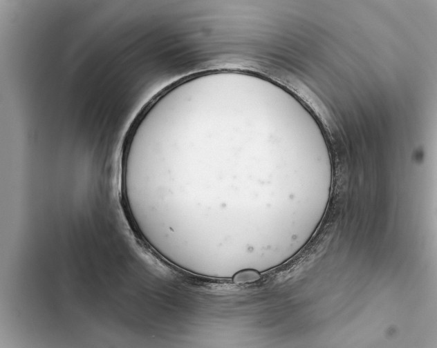 X0000103261132200809191712