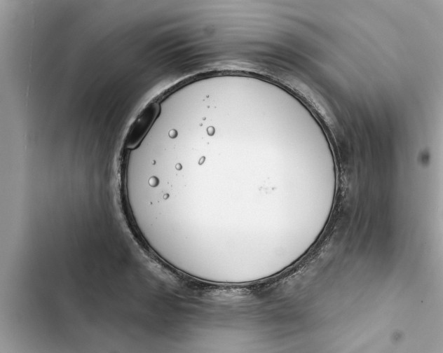 X0000103261133200809191712