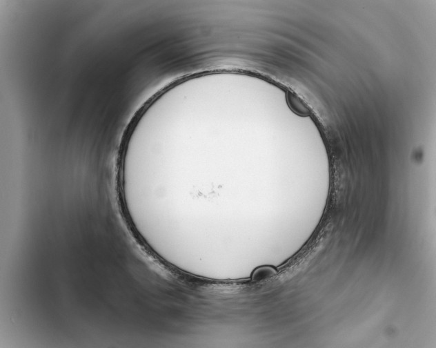 X0000103261134200809191712