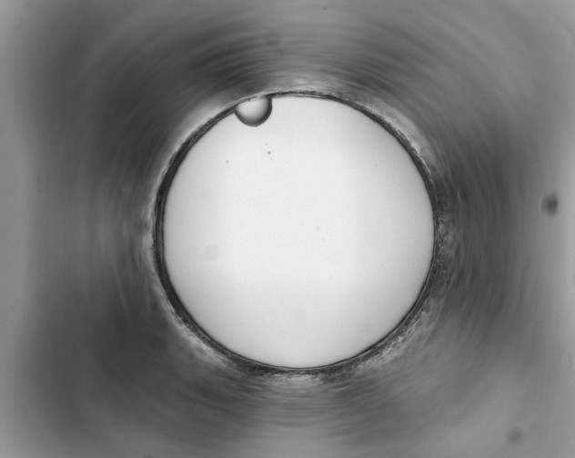 X0000103261135200809191712