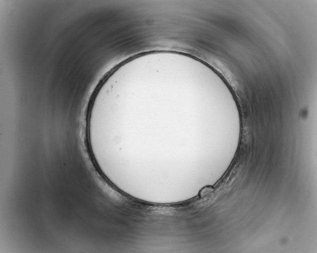 X0000103261136200809191712