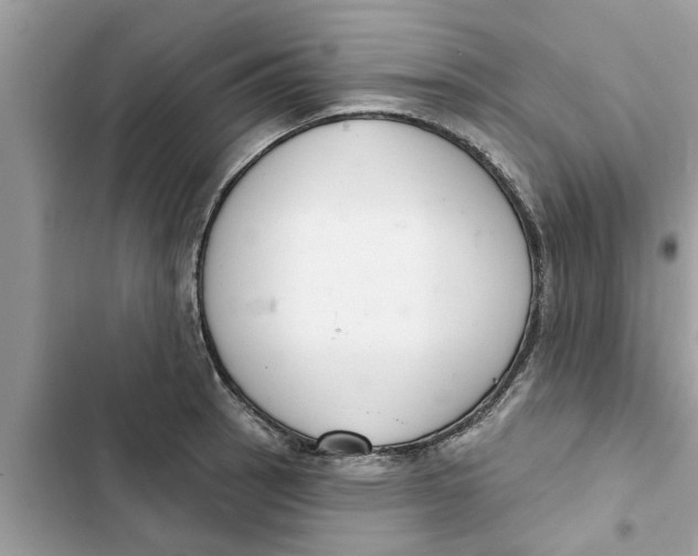 X0000103261137200809191712