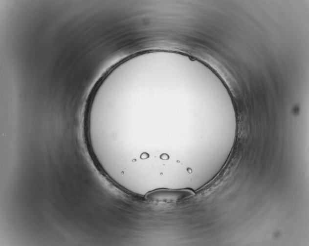 X0000103261139200809191712