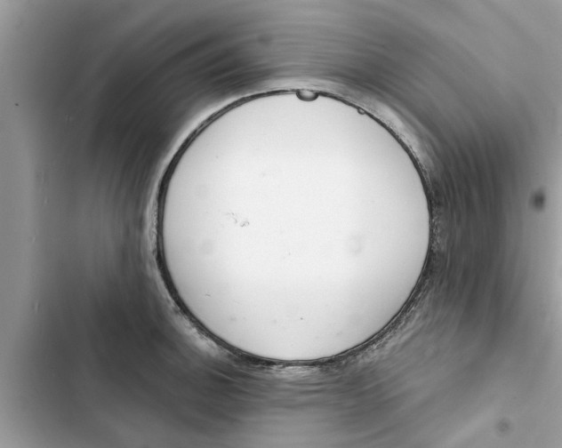 X0000103261140200809191712