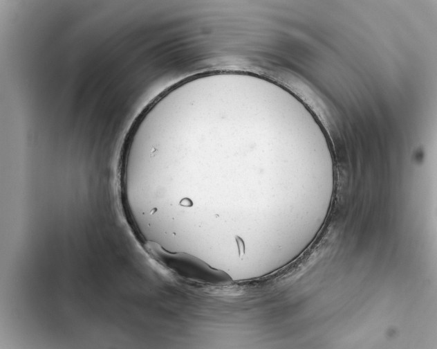 X0000103261141200809191712