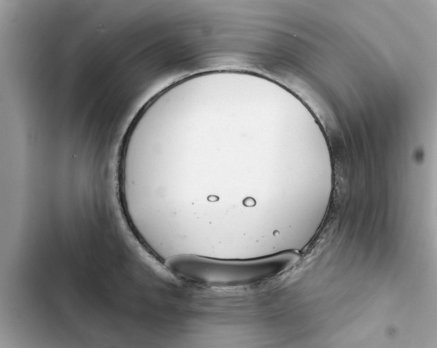 X0000103261142200809191712