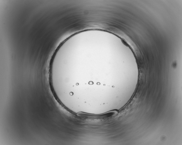 X0000103261143200809191712