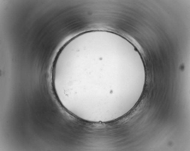 X0000103261144200809191712