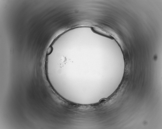 X0000103261146200809191712