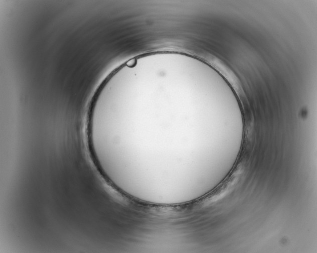 X0000103261149200809191713