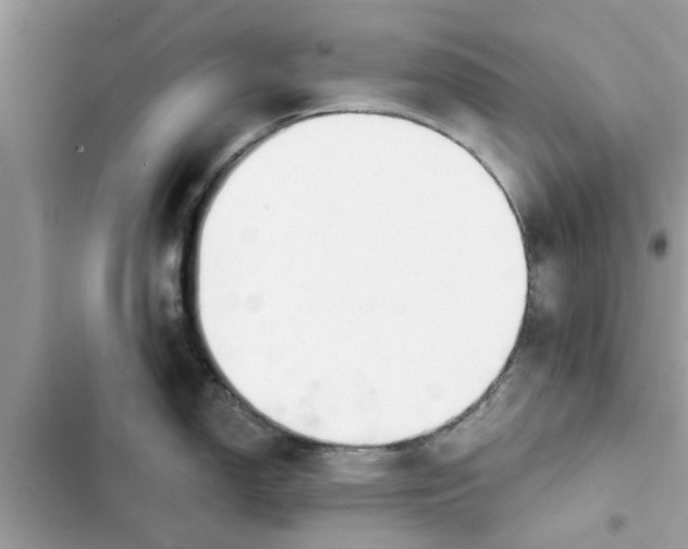 X0000103261150200809191713