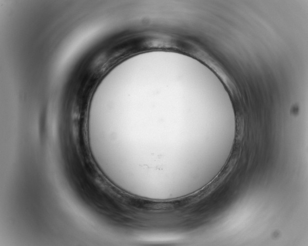 X0000103261151200809191713