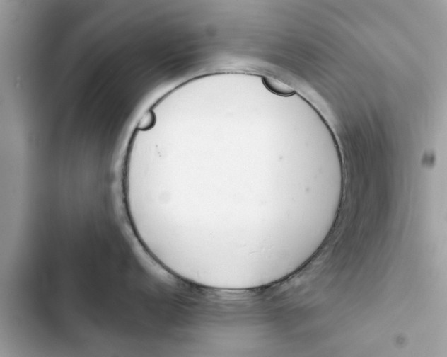 X0000103261152200809191713