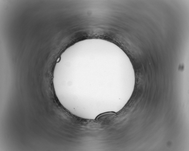 X0000103261153200809191712