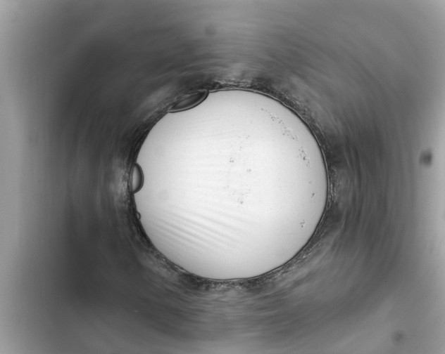 X0000103261154200809191712