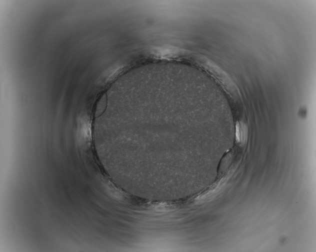 X0000103261155200809191712