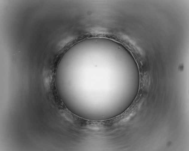 X0000103261157200809191712