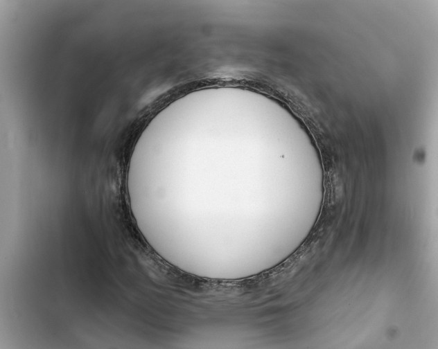 X0000103261158200809191712