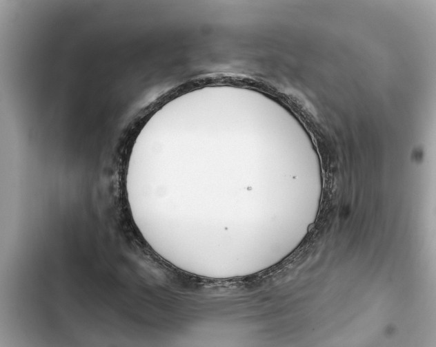 X0000103261159200809191712