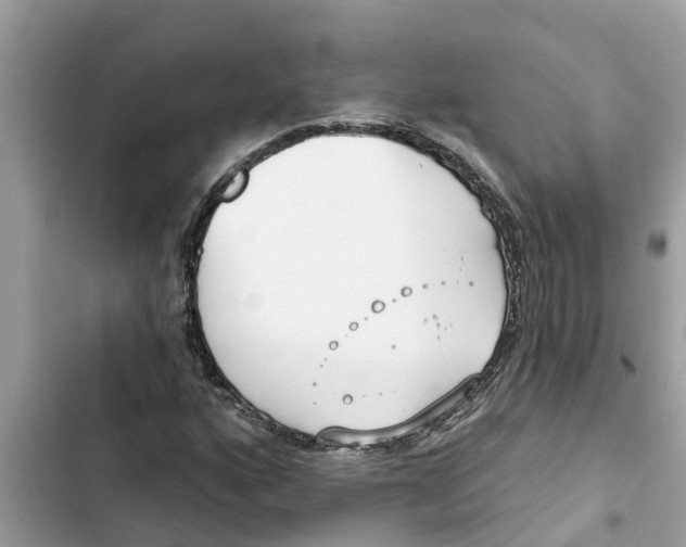 X0000103261160200809191712